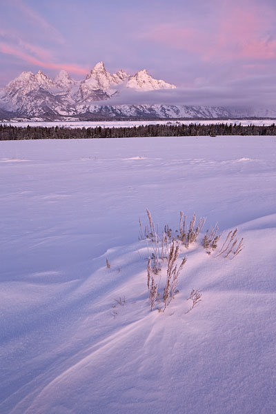 Tetons At Dawn