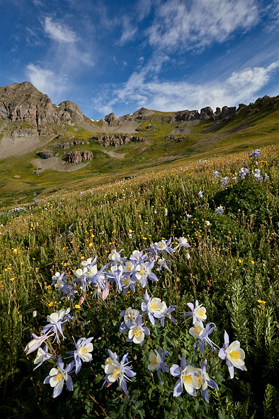 Alpine Morning