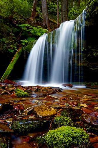 Fern Falls