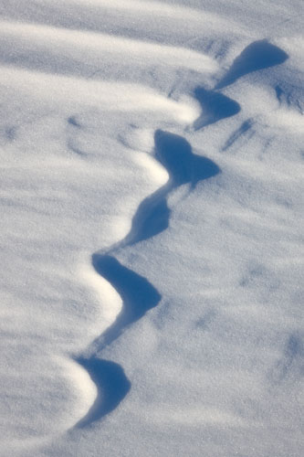 Snow Forms