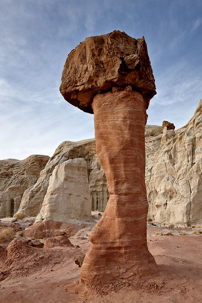 Toadstool