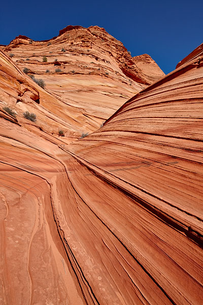 Mini Wave