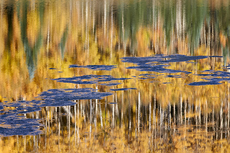 Reflections