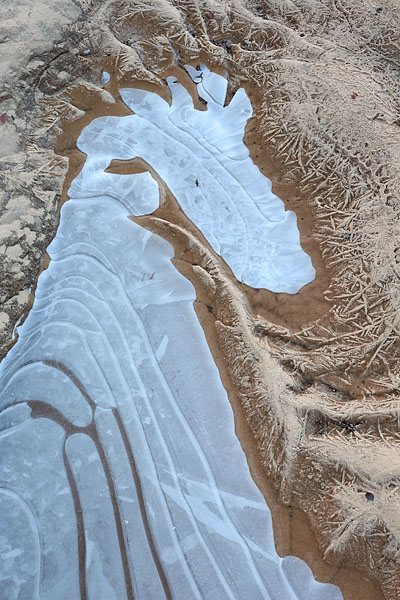 Frozen Pool