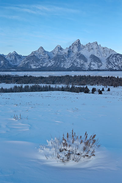 Tetons At Dawn