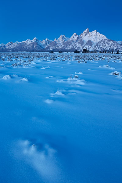 Tetons At Dawn