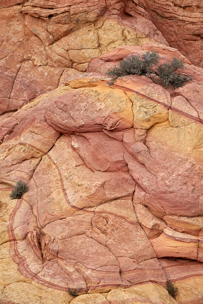 Sandstone Environment - Vertical