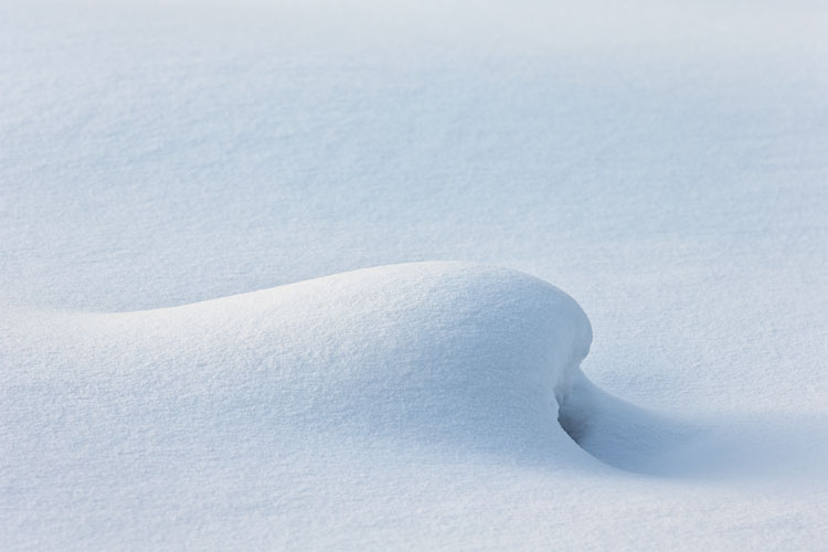 Snow Form