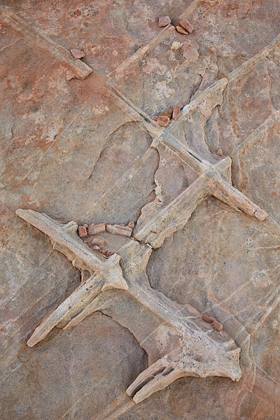 Sandstone Lattice