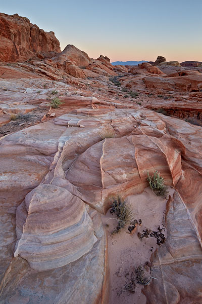 Sandstone Dawn