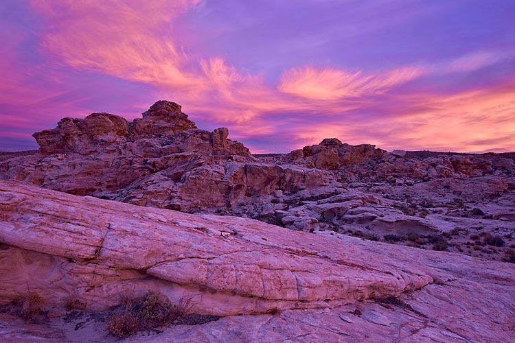 Vibrant Sunset