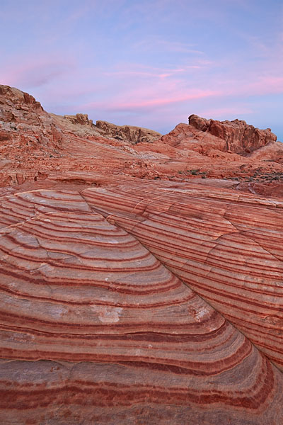 Striped Dawn