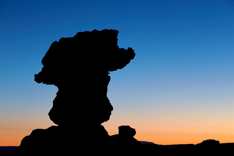 Silhouette