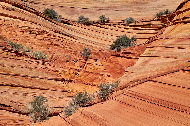 Layered Sandstone
