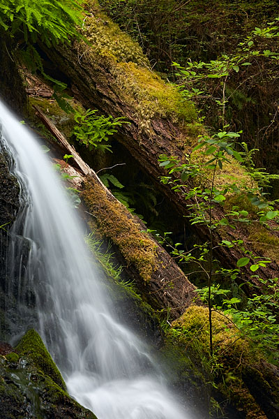 Cascade Falls Detail